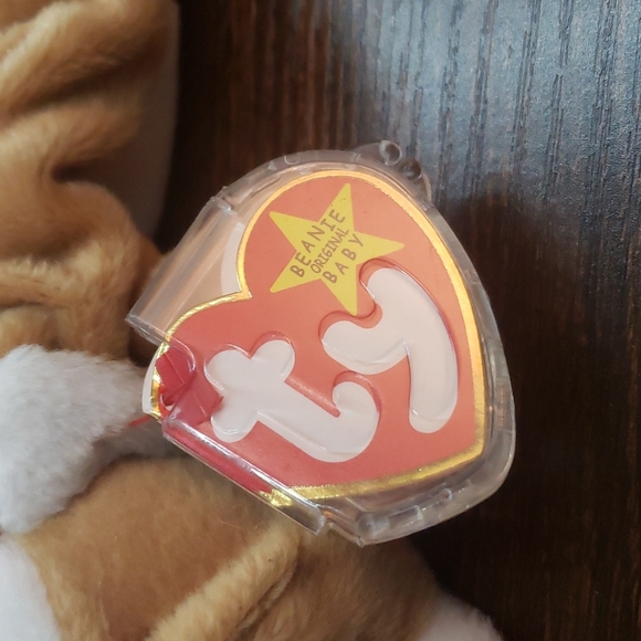 Ty Beanie babies collection Wrinkles 1996 - Picture 4 of 6